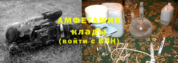 дмт Алзамай