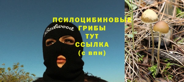 spice Алексин